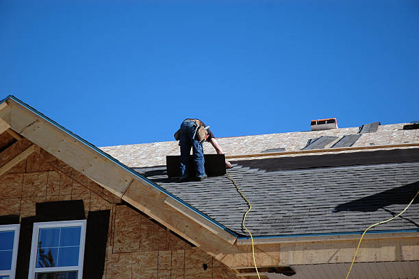 Best Roof Gutter Cleaning  in Carrollton, IL