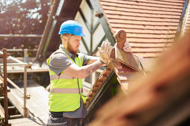 Best Commercial Roofing Services  in Carrollton, IL