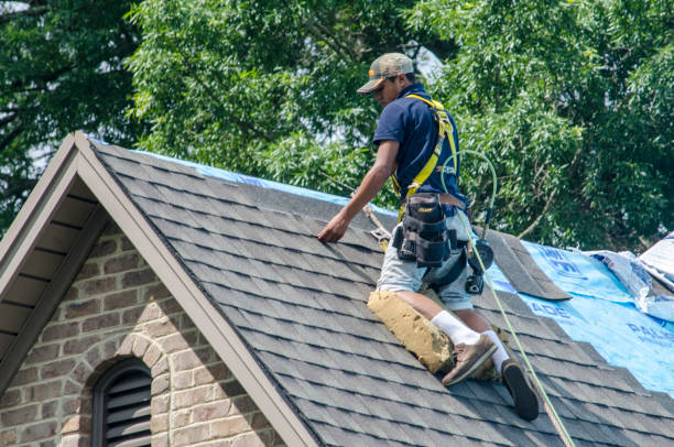 Best Roof Gutter Cleaning  in Carrollton, IL